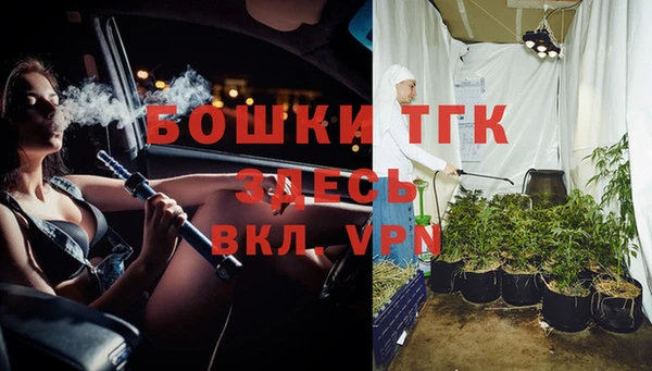 тгк Аркадак