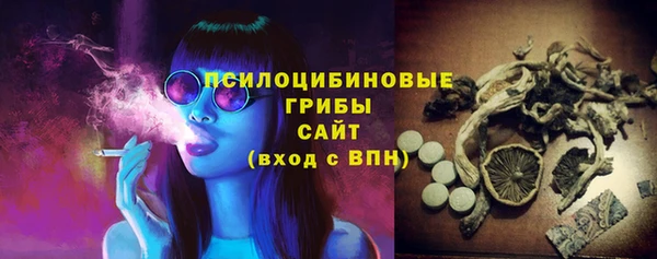 тгк Аркадак