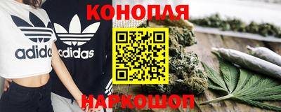 дживик Аша