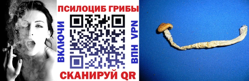 Галлюциногенные грибы прущие грибы Волжский